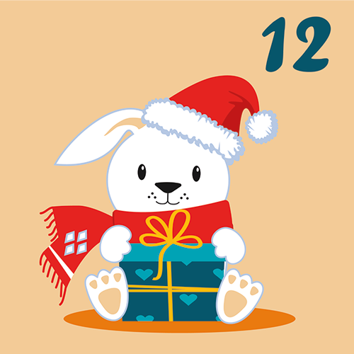 door-Dag 12